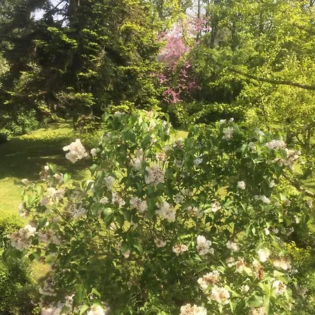 De Ma Fenetre Bed & Breakfast