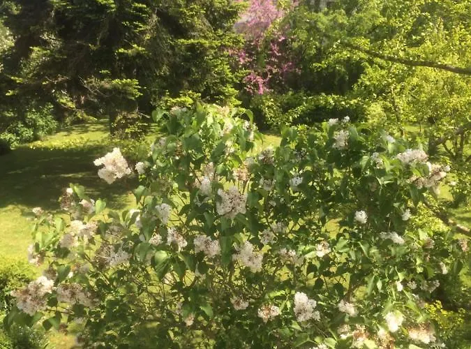 De Ma Fenetre לינה וארוחת בוקר