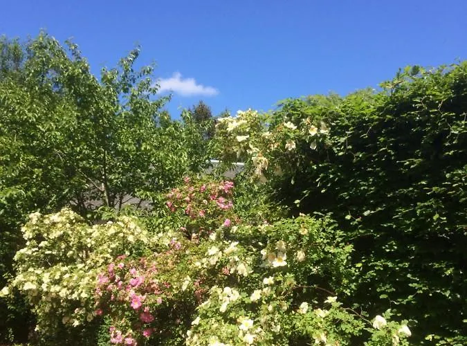 לינה וארוחת בוקר De Ma Fenetre Saint-Martin-des-Entrées